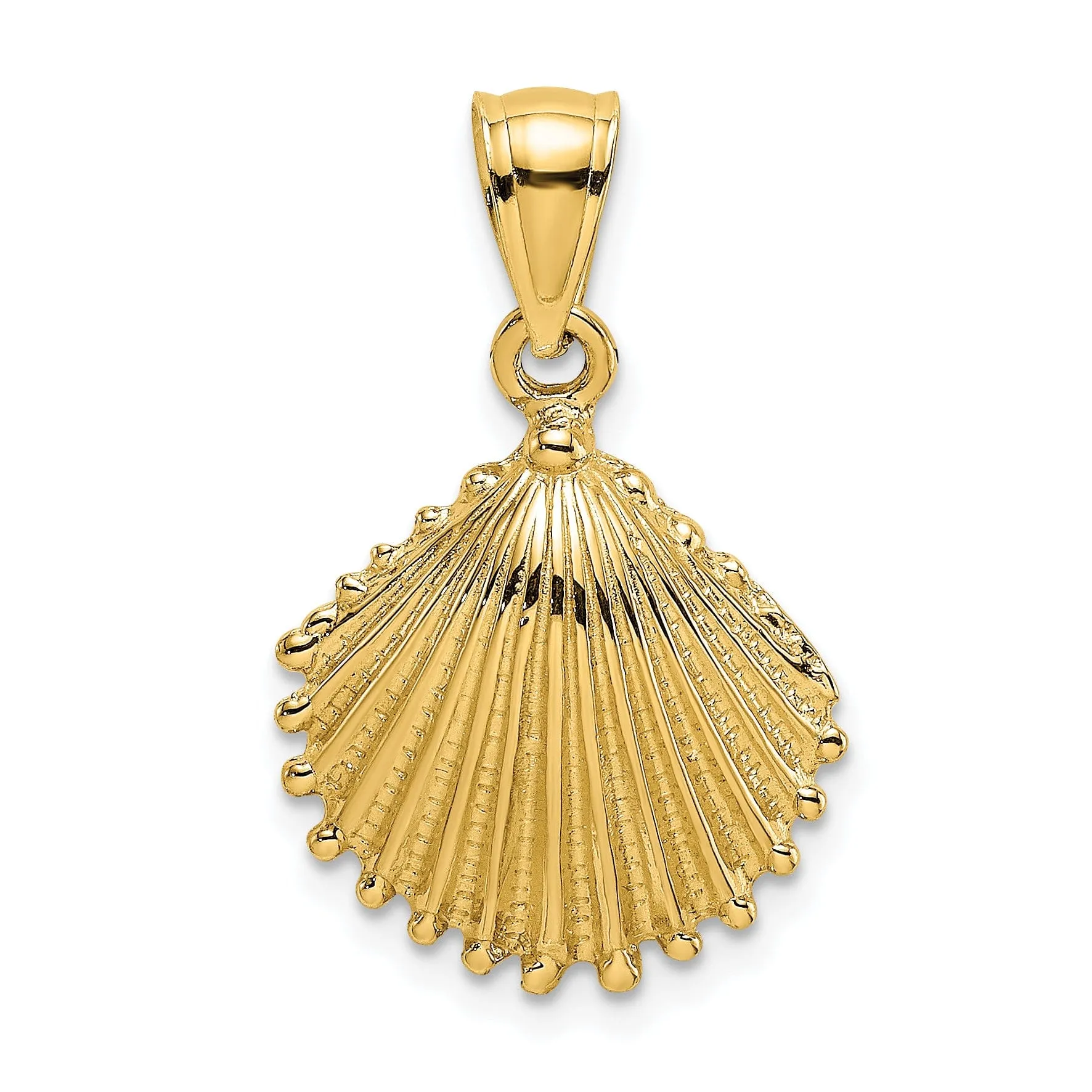 14k Yellow Gold Soild Polished Texture Finish Scallop Shell Charm Pendant