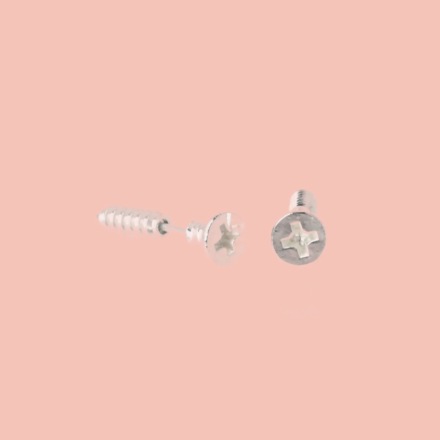 Screw Earrings (Silver Plated)