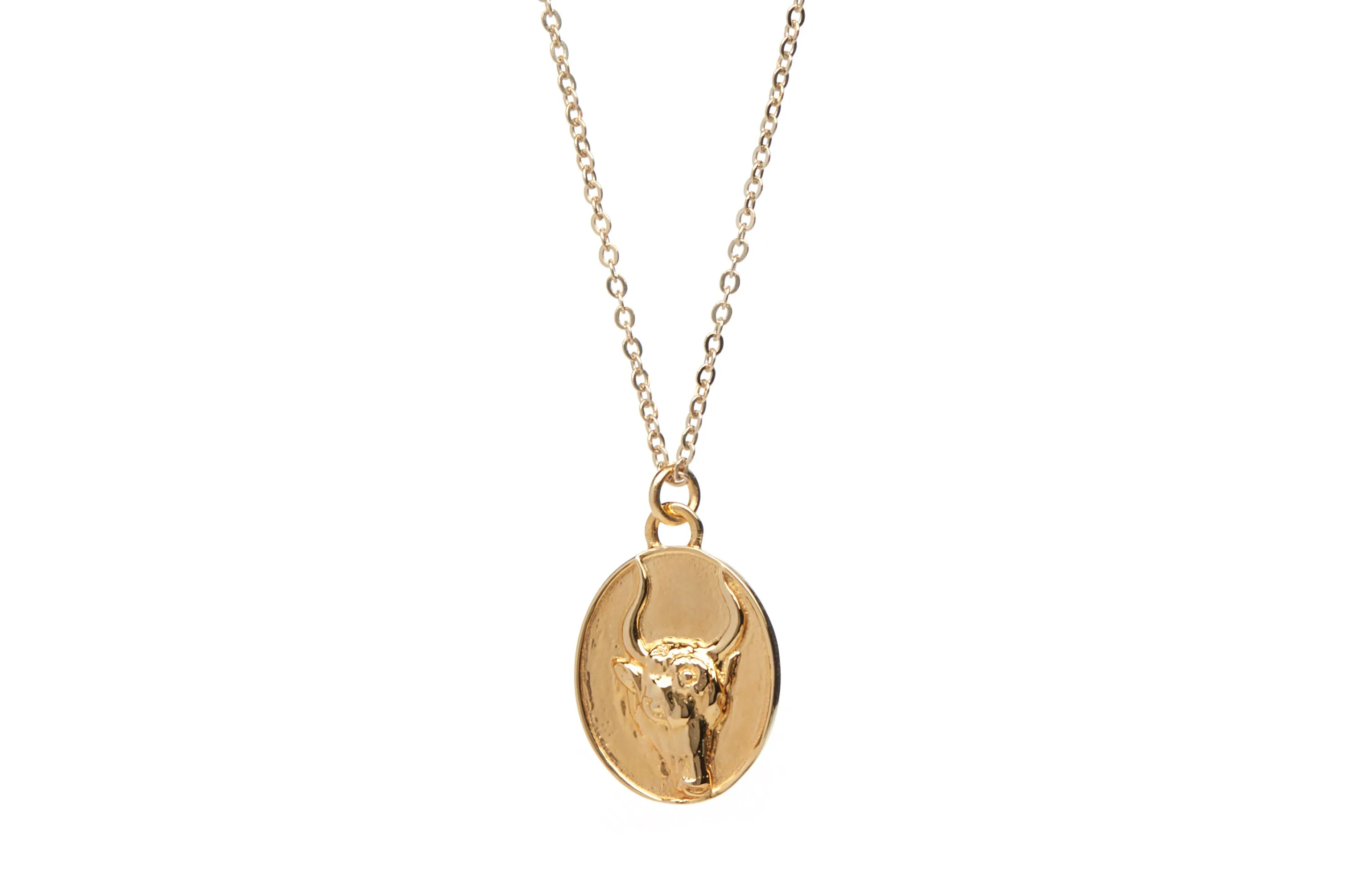 Silver & Gold-Plated Zodiac Pendants